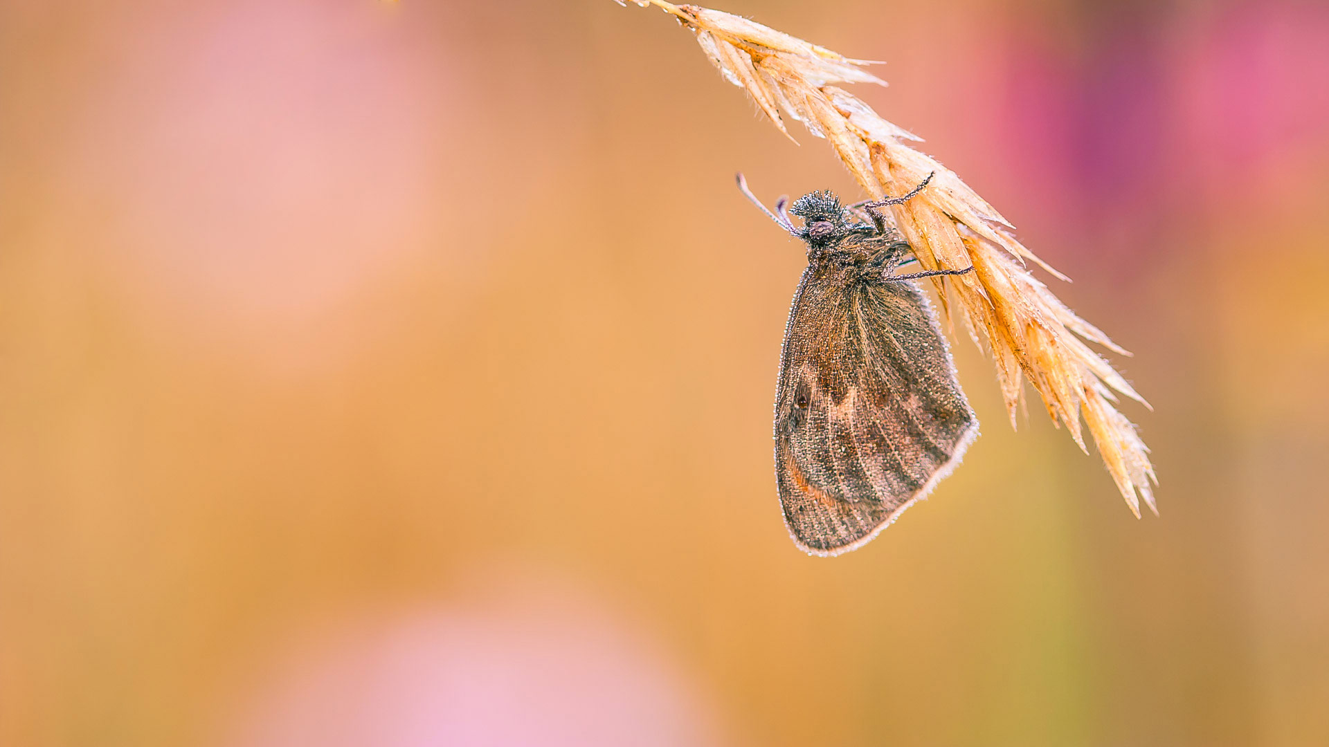 Realisaties - Grass & more