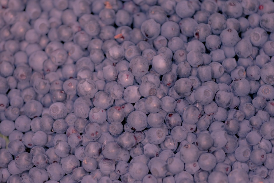 Realisaties - Herbs & berries